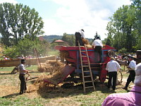 Battage a l'ancienne (ph. F. Mrugala, St Jean de Touslas)(5)